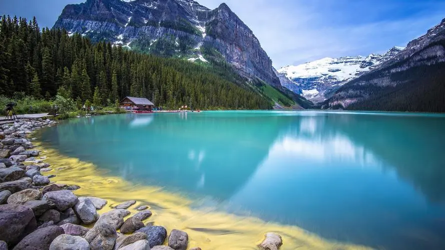 新型高质量